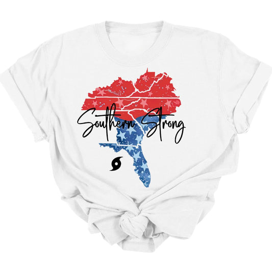 SOUTHERN STRONG *RED & BLUE STATES W/ STARS*