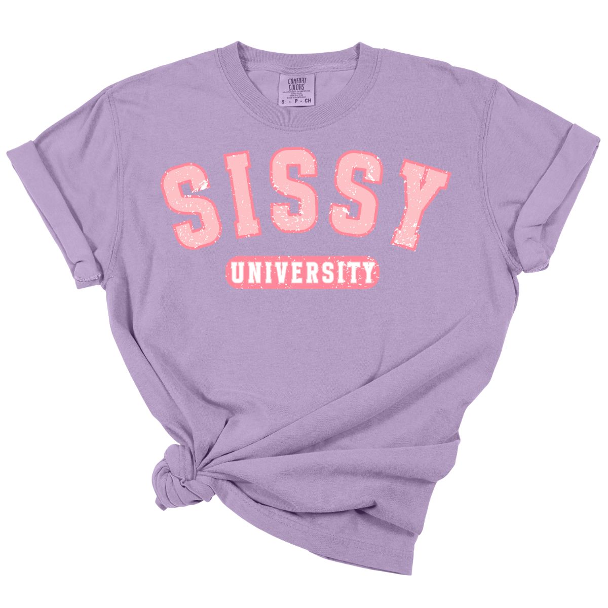 SISSY UNIVERSITY